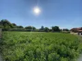 ПРОДАВА СЕ ОБЗАВЕДЕНА КЪЩА С ГОЛЯМ ДВОР В С. БИСТРЕНЦИ, ОБЛ. РУСЕ , снимка 6