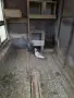 Продавам пощенски гълъб , снимка 1