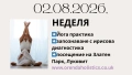 Професионална квалификация, снимка 3