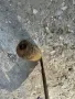 Стар ръчно кован рукан, снимка 7