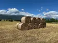 Ролонни бали сено, снимка 7