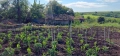 Продавам Напълно Обзаведена Къща., снимка 5