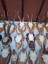 Продават се рога и челюсти. , снимка 10