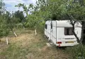 ПРОДАВА СЕ ЛОЗЕ , снимка 5