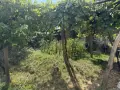 ЕКСКЛУЗИВНО! Масивна двуетажна къща с гараж и двор в с. Брежани, община Симитли, снимка 8