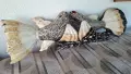 Уникална ръчна изработка дървена статуетка "Риби" (100 см) , снимка 2