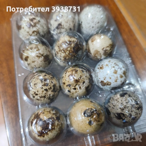 пъдпъдъчи яйца 