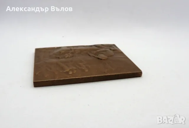 Винтидж Бронзов Плакет Етиен-Жюл Маре хронофотография физиология Париж 1977, снимка 4 - Други ценни предмети - 55544094