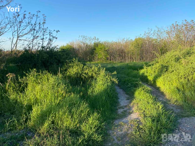 Продава се двор в гр.Козлодуй, снимка 4 - Парцели - 54331540