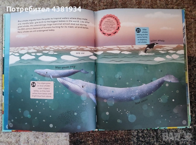 Детски книжки , снимка 11 - Детски книжки - 54805068
