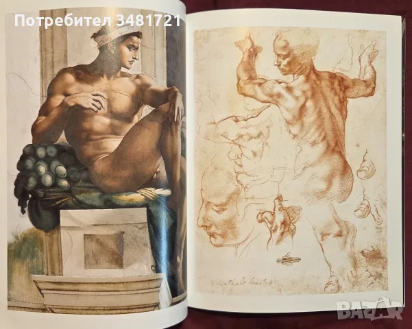 Микеланджело - живот и творби / Michel-Ange, снимка 7 - Изкуство, музика, кино и фотография - 55362001