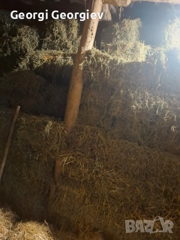 Люцерна малки бали реколта 2025, снимка 3 - За селскостопански - 54000652