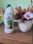 Налични почистващи и перилни препарати GRASS, снимка 9