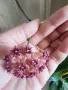 Хоя Cinnamomifolia var.purpureofusca, снимка 2
