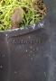 Джанти за OPEL, снимка 14