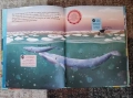 Детски книжки , снимка 11