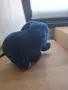 Плюшени слон синьо, снимка 3
