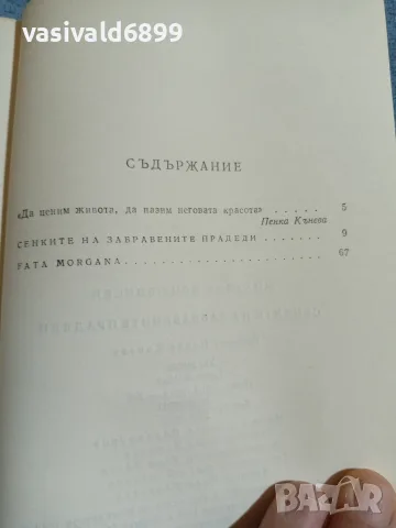 Михайло Коцюбински - Сенките на забравените прадеди , снимка 5 - Художествена литература - 55403255