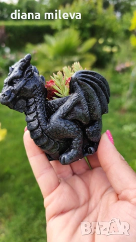 Дракон Игор от гипсокерамика с живи студоустойчиви  сукуленти!