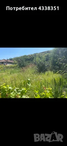 Парцел в регулация с. Брест 1,56 дка