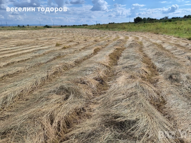 Качествено ливадно сено на топ цени!