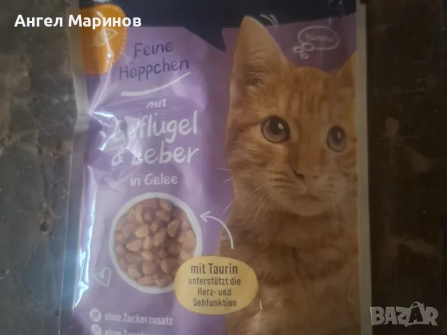 палчета за Котки нов внос