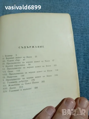 Димитър Вълев - Трите смъртни гряха , снимка 5 - Българска литература - 55397978