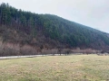 Парцел в Клептуза , снимка 6