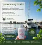 SVELTFORM - Стройни и здрави без диета, нормализира обмяната на веществата, снимка 2