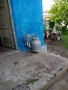 Продавам доилен агрегат,ярмомелка и малък плуг, снимка 1