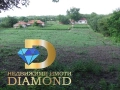Едноетажна къща в село Пъстрен, обл. Стара Загора, снимка 2
