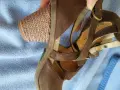 El naturalista номер 39., снимка 11