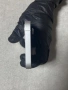 iPhone 12 mini 128 gb white бял КАТО НОВ+ подарък MagSafe зарядно, снимка 4