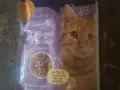 палчета за Котки нов внос, снимка 1