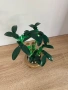 LEGO Botanicals & Icons - Коледна звезда, бамбук, слънчев букет, снимка 3