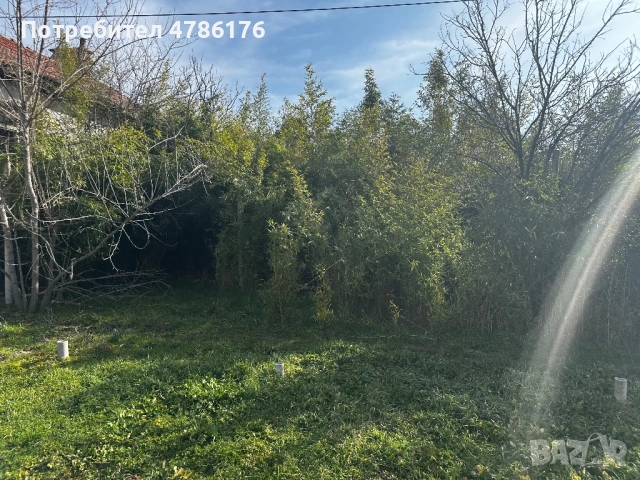 •	🏡 Спокойствие и природа – имот в с. Бегово, снимка 4 - Къщи - 54073829