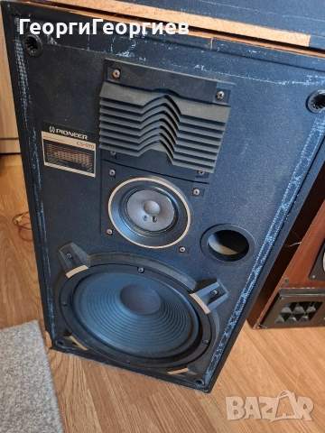 Pioneer CS-970 озвучителни тела. , снимка 2 - Тонколони - 55153587