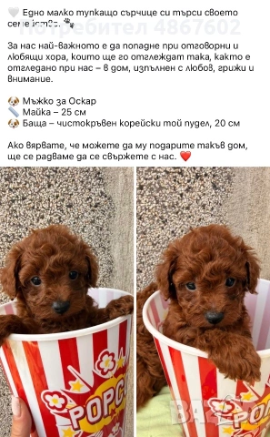 Аз съм най-малкият. Братчетата и сестричките ми вече са при близки хора, а аз останах още малко. Мам