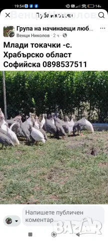 Предлагам токачки