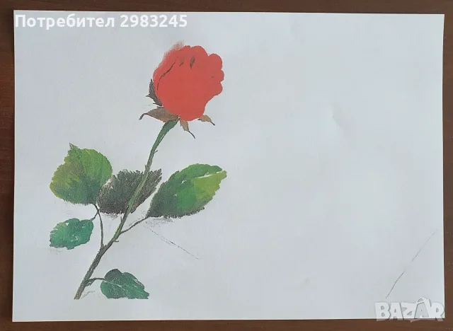 Листи за писма или картички