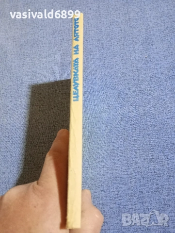 Пиер Гамара - Целувката на лятото , снимка 2 - Художествена литература - 54198991