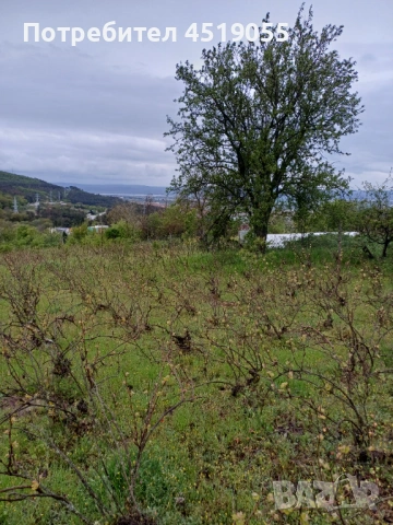 Продава се парцел 5200 м2 с ток и вода и два кладенеца в гр Аксаково , снимка 6 - Други услуги - 54385261