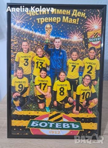 Дигитални карикатури по снимка и постери , снимка 5 - Картини - 54826874
