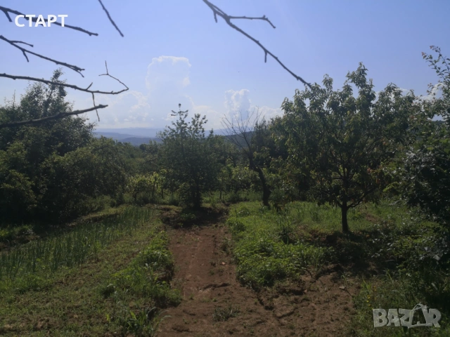 Продава Вила с.Шереметя, област В.Търново , снимка 6 - Вили - 54855691