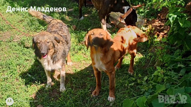 ПОДАРЯВАМ!!!