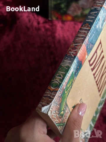 Отглеждане на билки| Колхида, снимка 3 - Други - 54367985