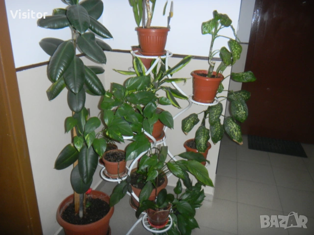 Nikon Coolpix S1100pj   14.1 mPx, снимка 11 - Фотоапарати - 54349656