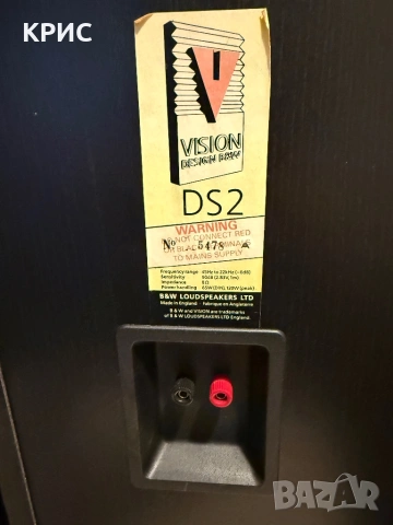 B&W VISION DS2 , снимка 12 - Тонколони - 54462059