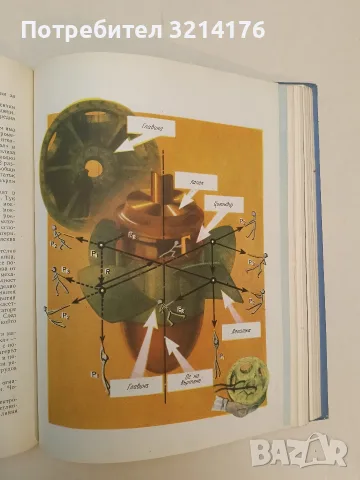 Машината. Нейното минало, настояще и бъдеще – Колектив (1962), снимка 8 - Специализирана литература - 55555995
