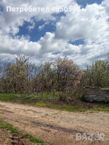 имот в село Ивановци, Видинско, снимка 2 - Парцели - 54818386